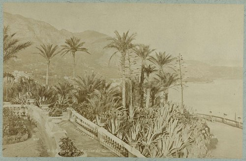 Tuinen van het casino te Monte Carlo