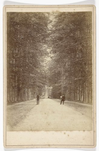 Boslaan (Middachter allée) bij De Steeg