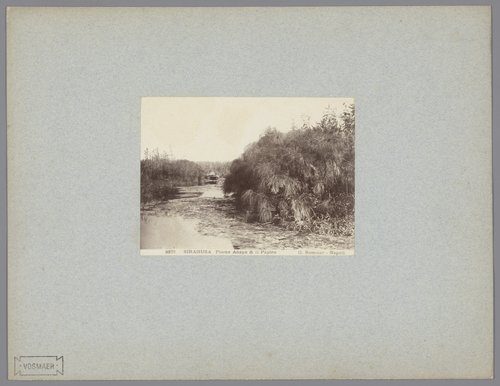 Fiume Anapo & il Papiro