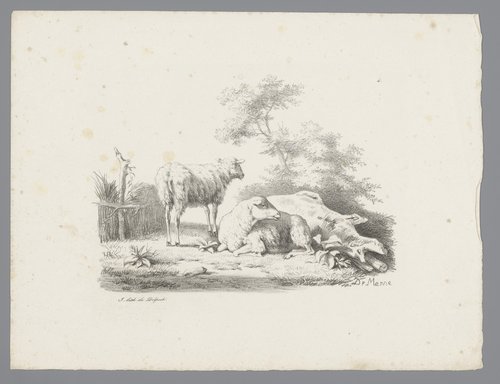 Landschap met twee schapen