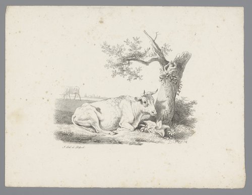 Landschap met rund liggend bij een boom
