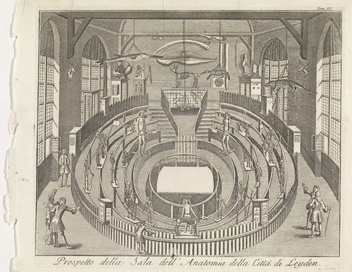 Prospetto della sala dell' Anatomia della Città di Leyden