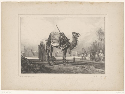 Halteplaats van een karavaan met dromedaris