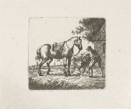Voeren van het paard