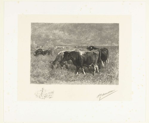 RP-P-1909-1557