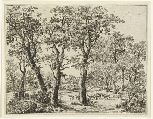 Landschap met bomen en grote steen