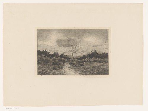 Landweg door lage begroeiing