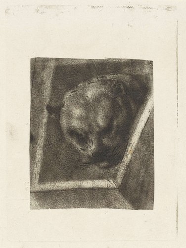 RP-P-1910-1511