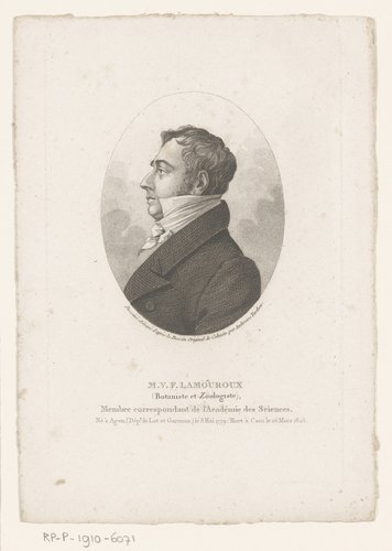 Compleet overzicht van beroemdheden by Ambroise Tardieu
