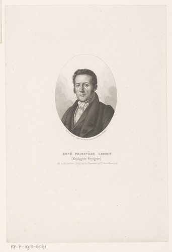 RP-P-1910-6081