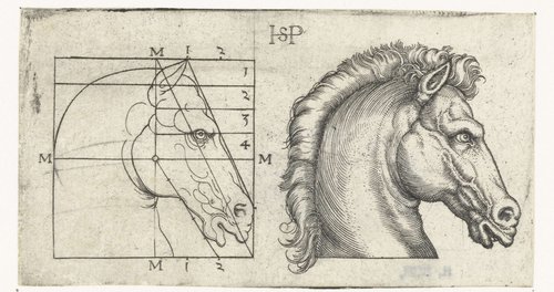Paardenhoofd en tekening in schema volgens proportieleer by Hans Sebald Beham