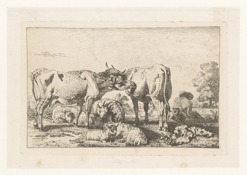 Kudde vee met twee koeien die elkaar likken