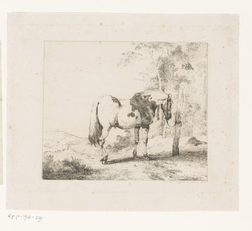 Paard vastgebonden aan een paal in het landschap
