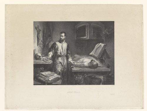 Andreas Vesalius in zijn werkkamer