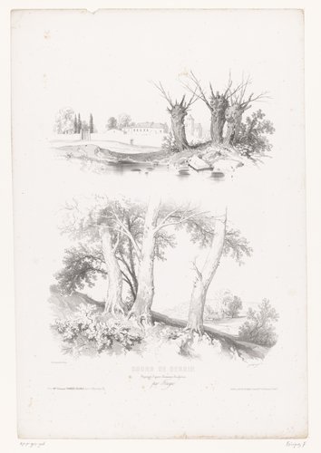 Knotwilgen aan het water en heuvellandschap met bomen