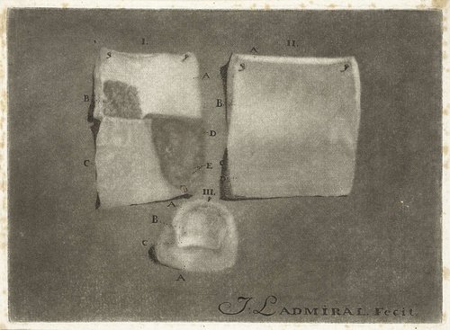 Anatomische studie van menselijke huid en nagel by Jan l'Admiral