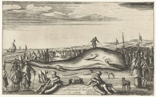 Gestrande potvis op het strand te Noordwijk, 1614