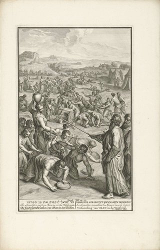 Verzamelen van het manna