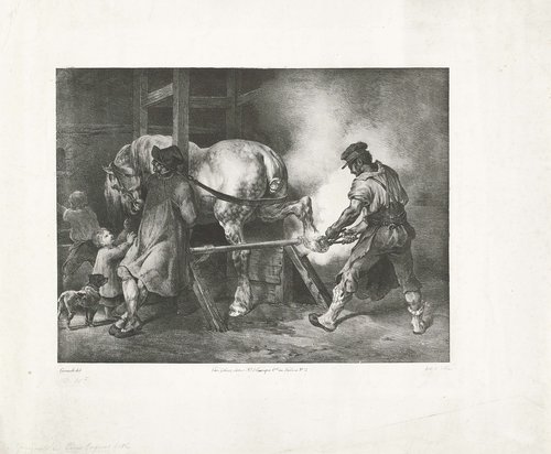 Verschillende studies van paarden