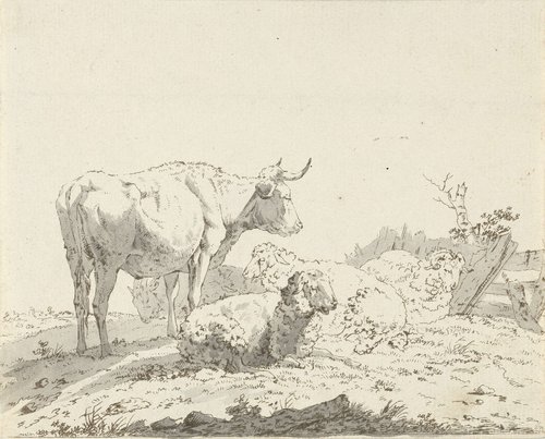 Koe en schapen in een weide