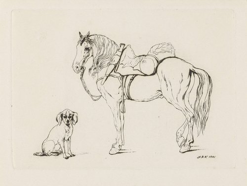 Gezadeld paard en een hond