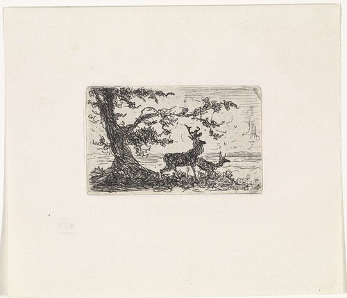 Twee herten onder een boom