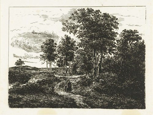 Boslandschap met vrouw en jongen op weg