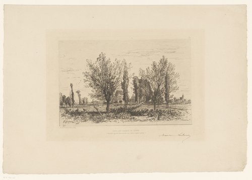 Dans les champs de Cénon.