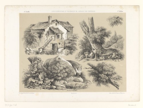Landschapsstudies II