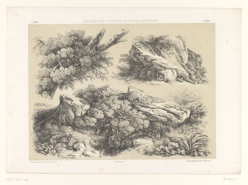 Drie studies van landschapselementen