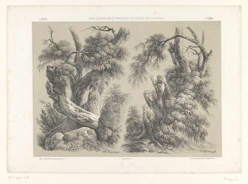 Twee studies van bomen met gebladerte