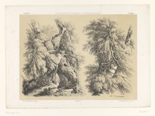 Twee studies van bomen met gebladerte