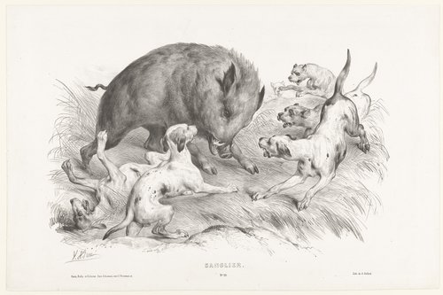 Sanglier by Victor Adam