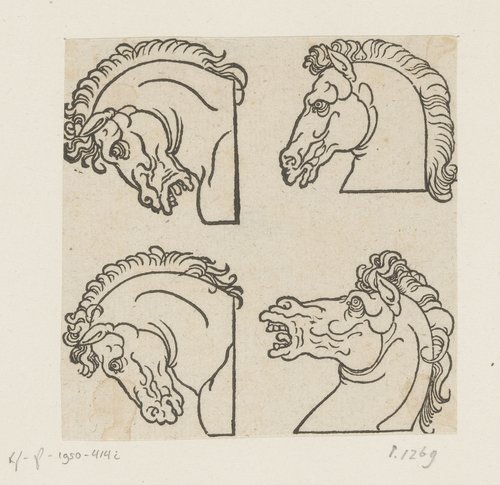 Modellen voor vier hoofden van paarden