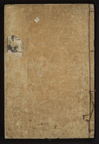 Beknopte schetsen van bloeiende planten