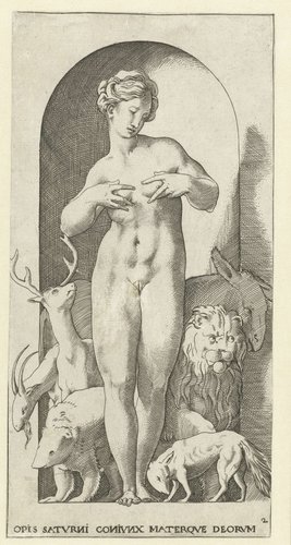 Ops (Opis) met verschillende dieren