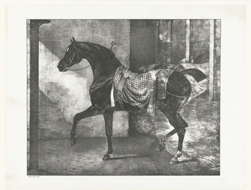 Cheval noir attaché dans une écurie
