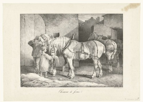Chevaux de ferme