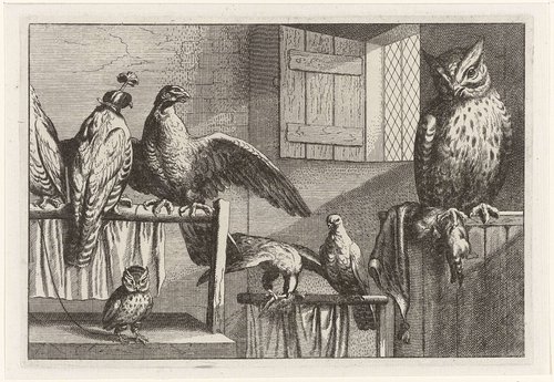 Titelblad Diversae Avium Species