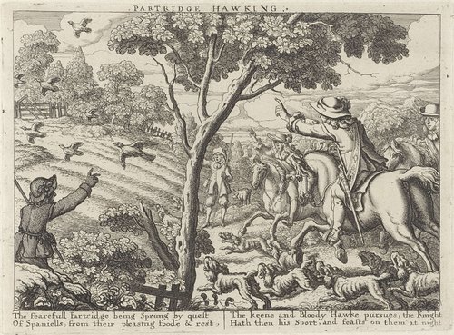 Severall Wayes of Hunting, Hawking, and Fishing, According to the English Manner