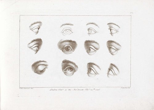 Ciprianis rudiments of drawing