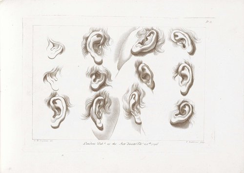 Ciprianis rudiments of drawing