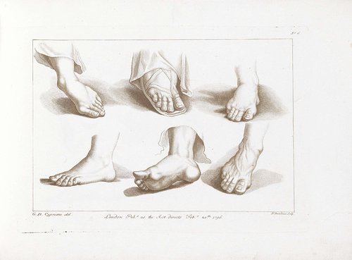 Ciprianis rudiments of drawing