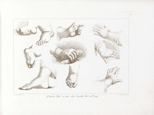 Ciprianis beginselen van het tekenen