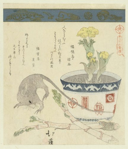 Een serie van zesendertig vogels by Totoya Hokkei