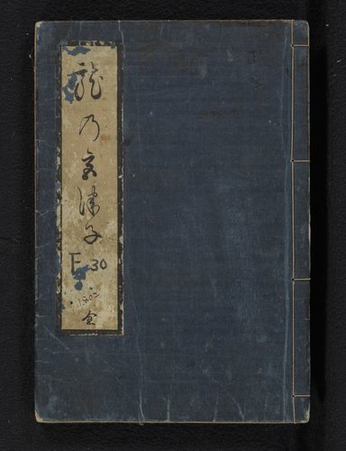 Bezoekers van het drakenpaleis