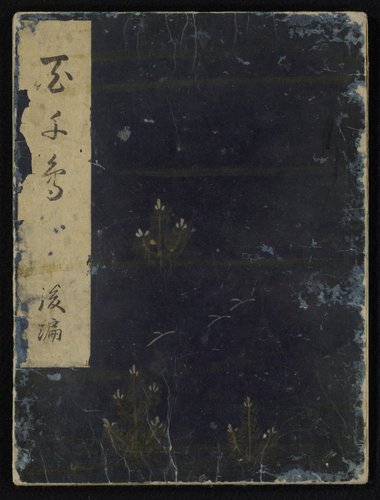 Vogels vergeleken in komische verzen