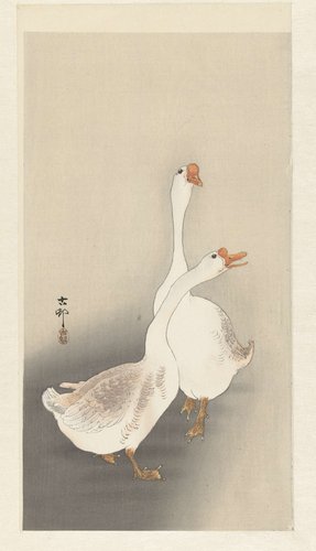 Twee ganzen