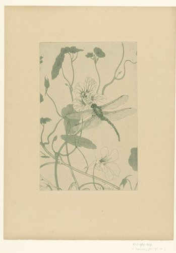 Fleurs by Charles-Louis Houdard