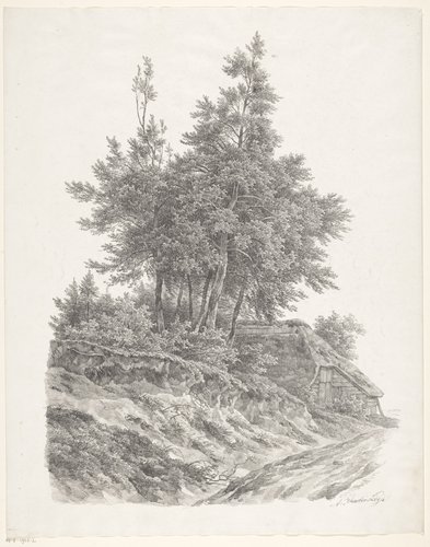 Groep bomen bij boerderij